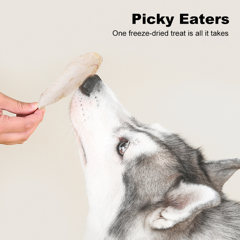 Freeze-dried Meat High Nutritional Pet Food