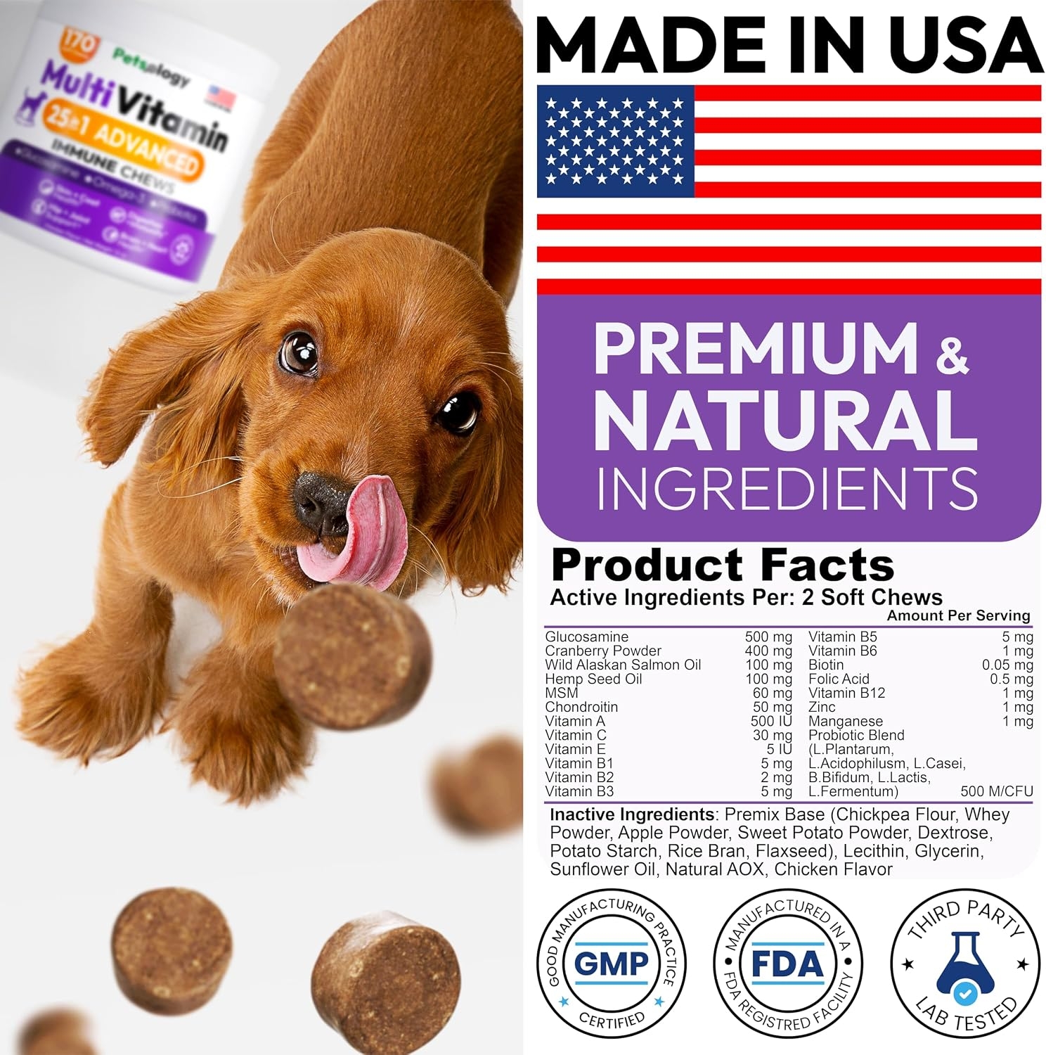 Dog Vitamins and Supplements 250 Chews