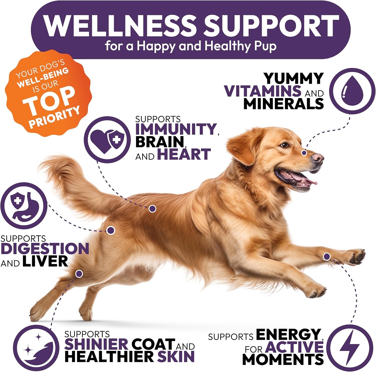 Dog Vitamins and Supplements 250 Chews