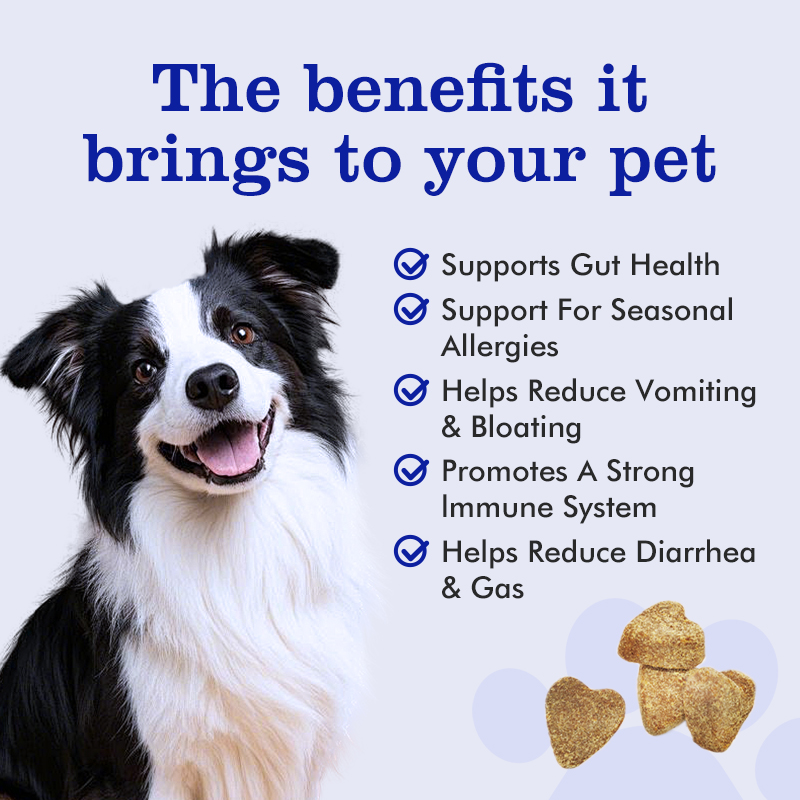 pet nutritional 15 in 1 multivitamin supplement soft chew