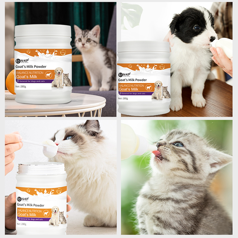 High-Protein Goat Milk Powder Pet Health Care Nutritional Supplement