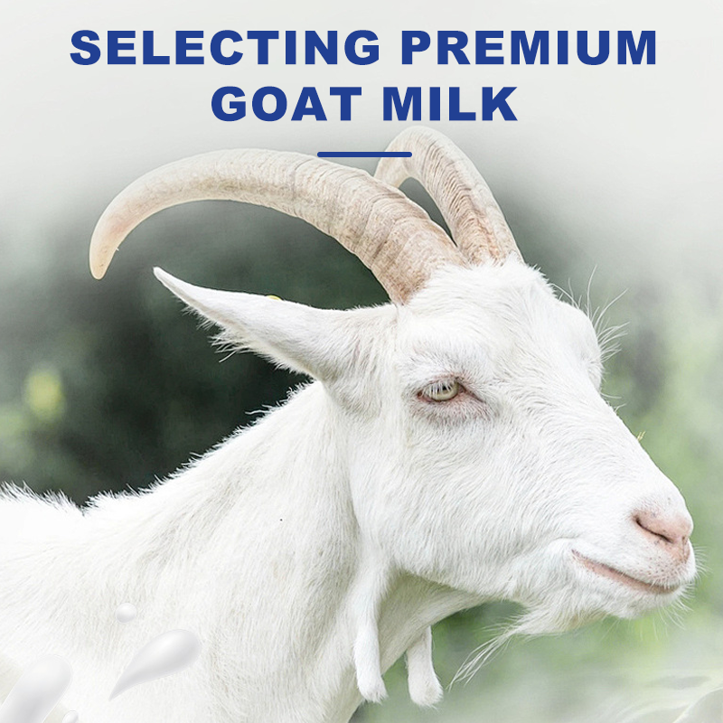 Goat Milk Powder for Dogs Cats