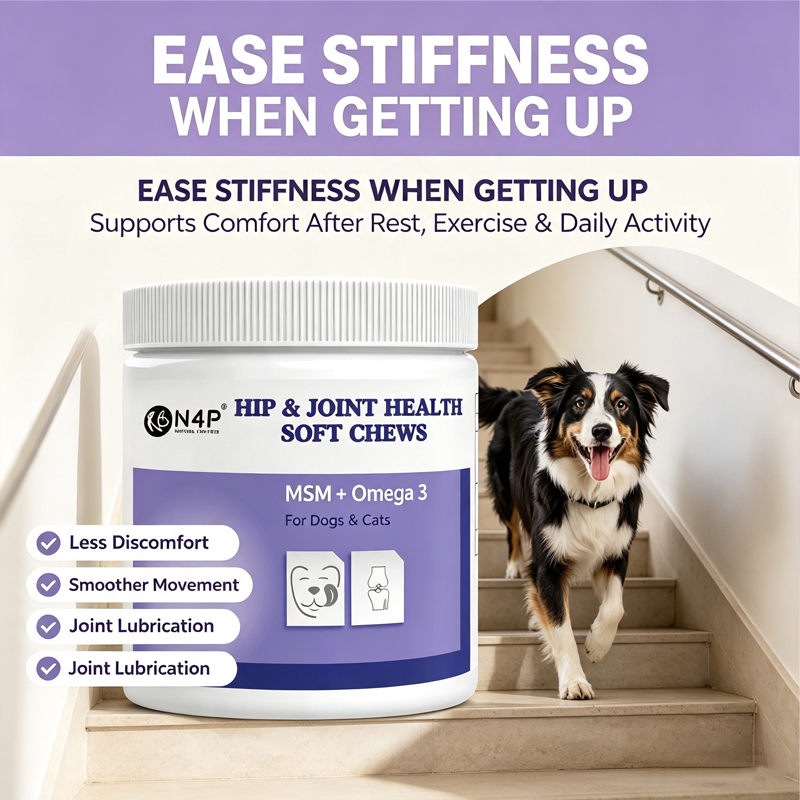 Advanced Dog Joint Supplement