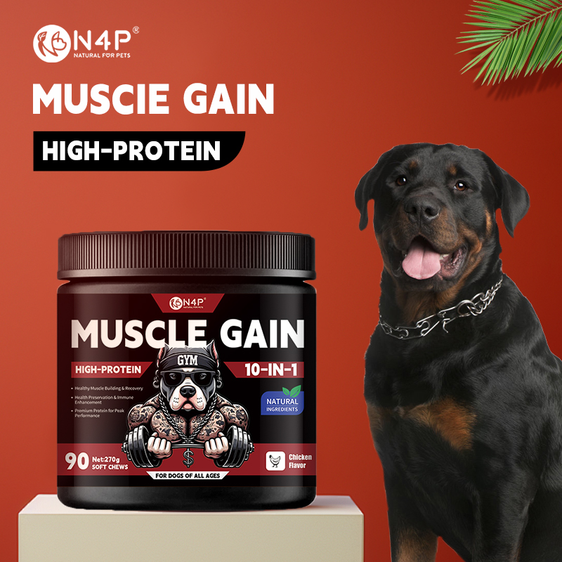 Dog Muscle Gain Supplement Soft Chew