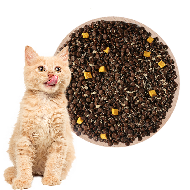 Cat Dry Food