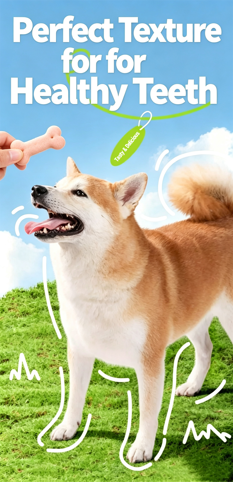 Dog Biscuits