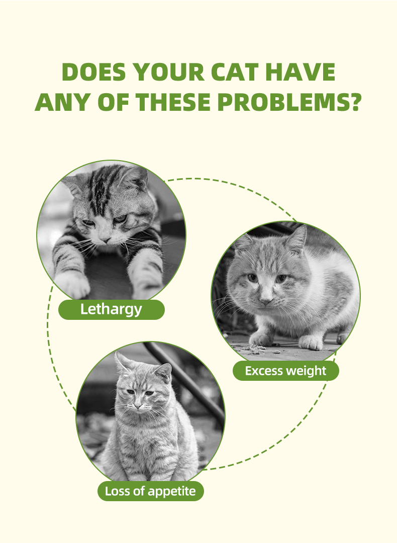 Cat Grass Teeth Cleaning Treats