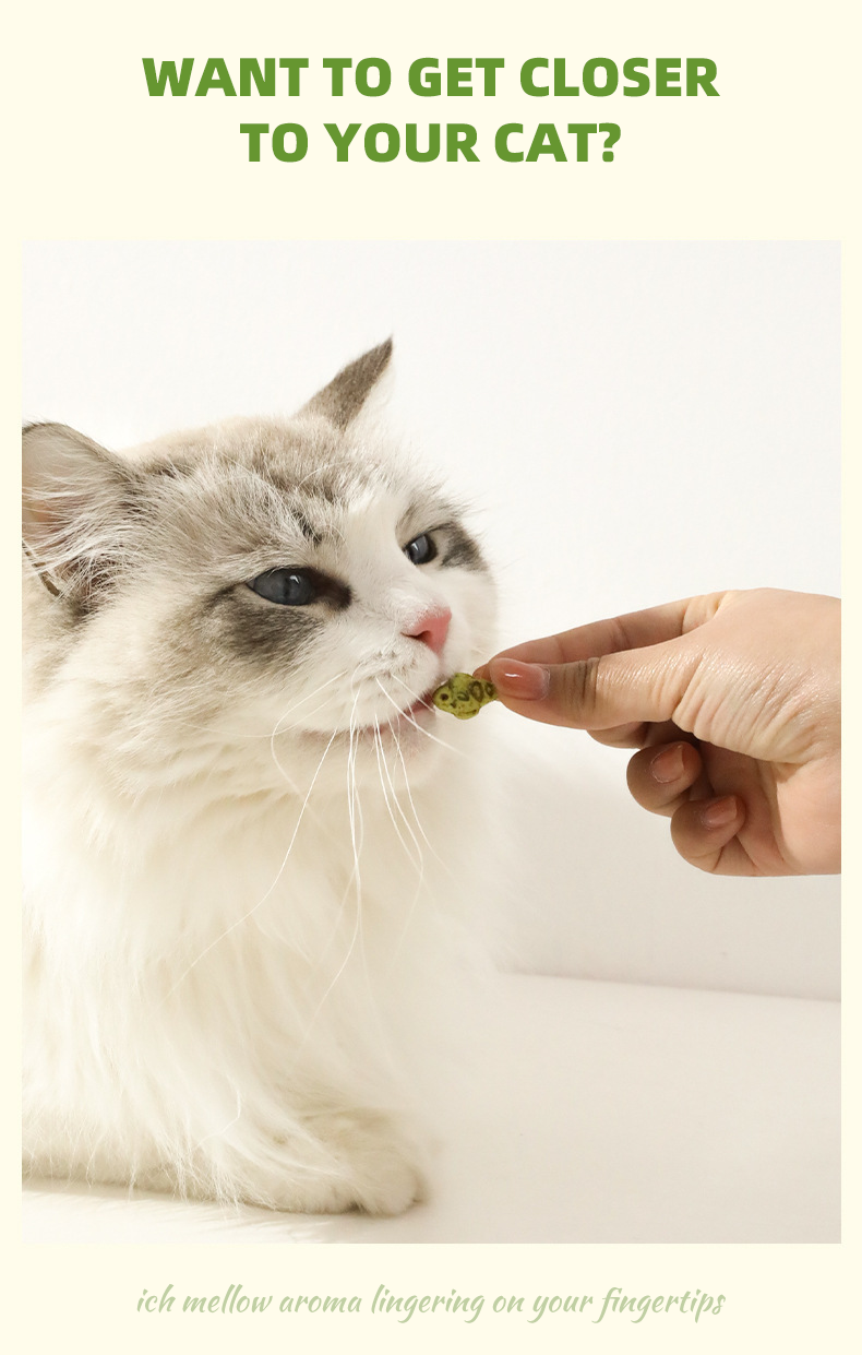 Cat Grass Teeth Cleaning Treats