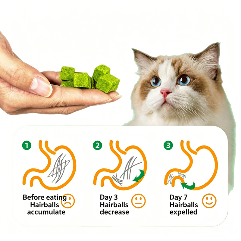 Freeze-Dried Cat Grass
