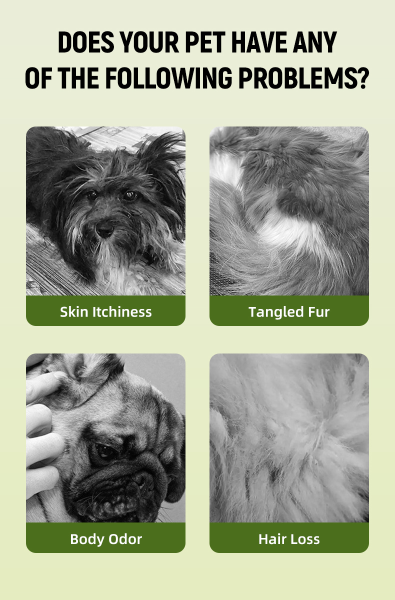 Pet Shampoo 6-Series