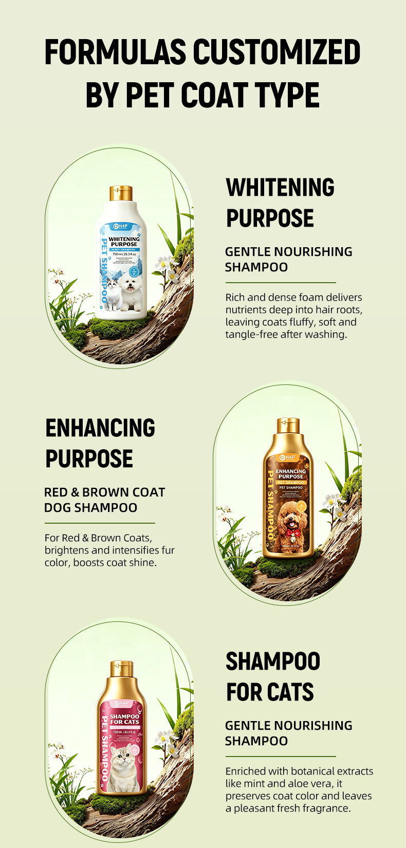 Pet Shampoo 6-Series
