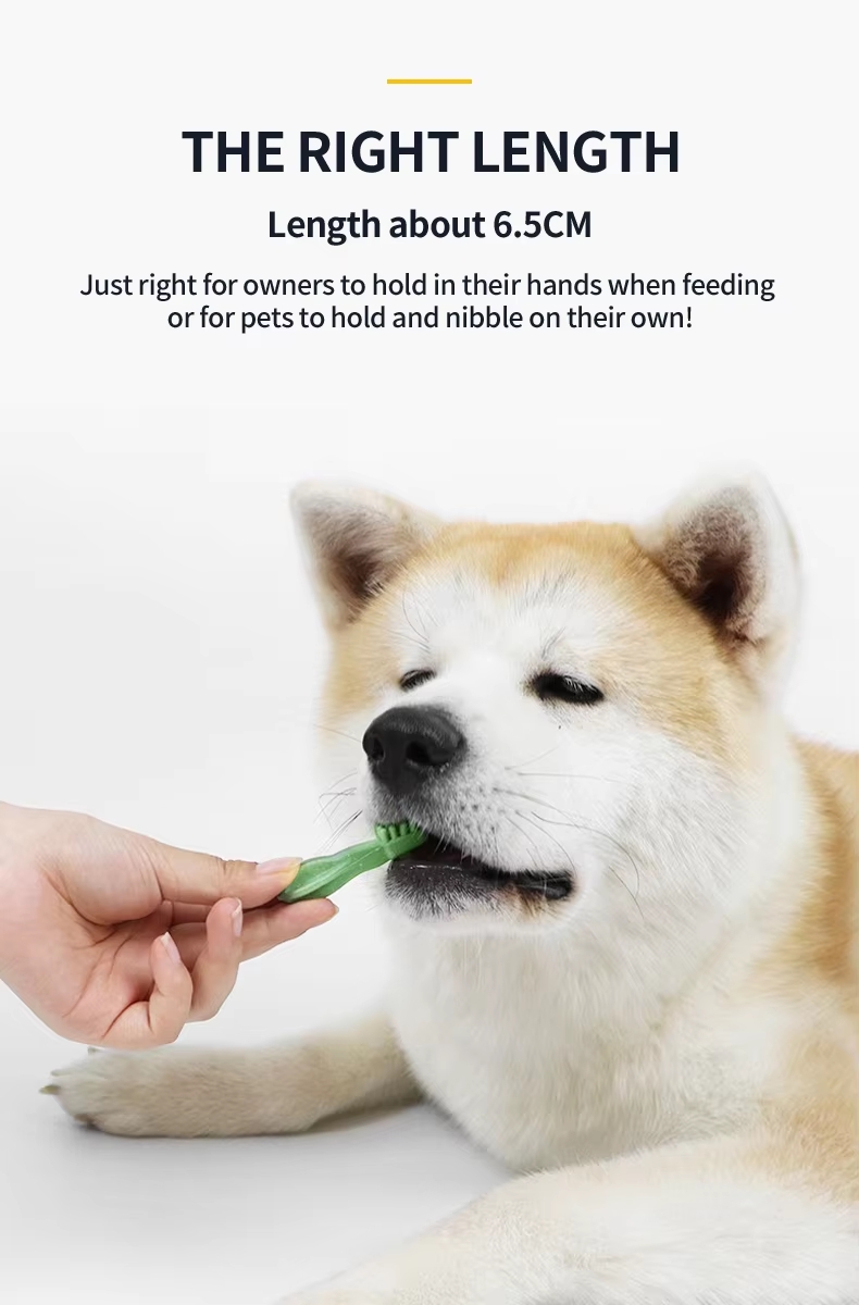Pet Snack Bone