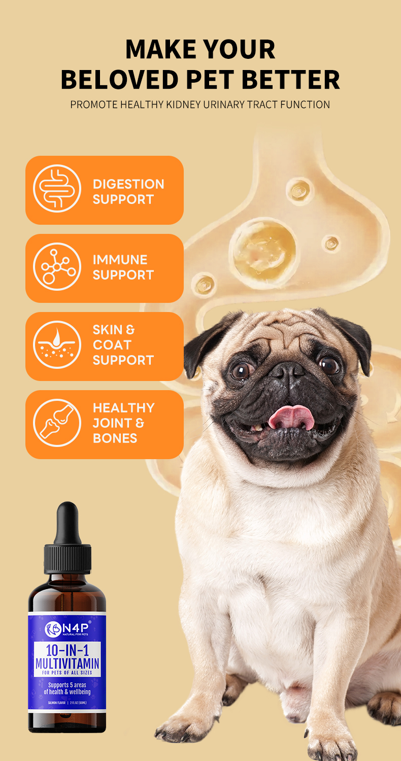 Hip & Joint Liquid Drops for Pets