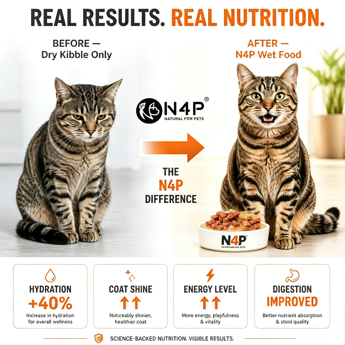 Pet Complete Wet Food