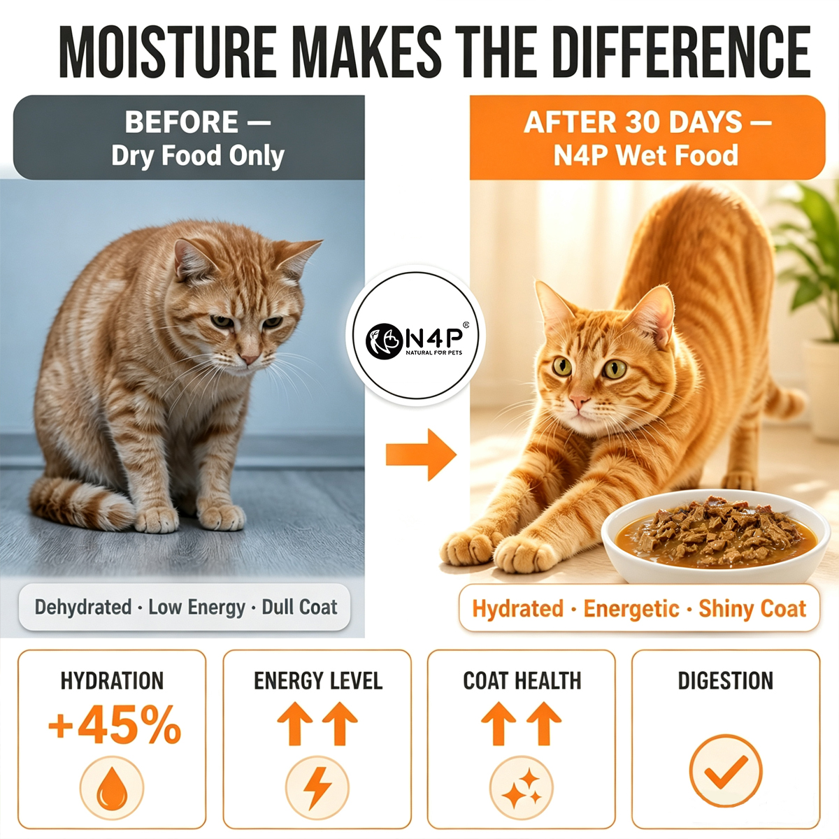 Complete Wet Food For Cats & Dogs
