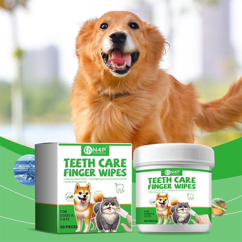  60pcs Anti-Odor Ear Mite Removal Ear Wipes for Dogs