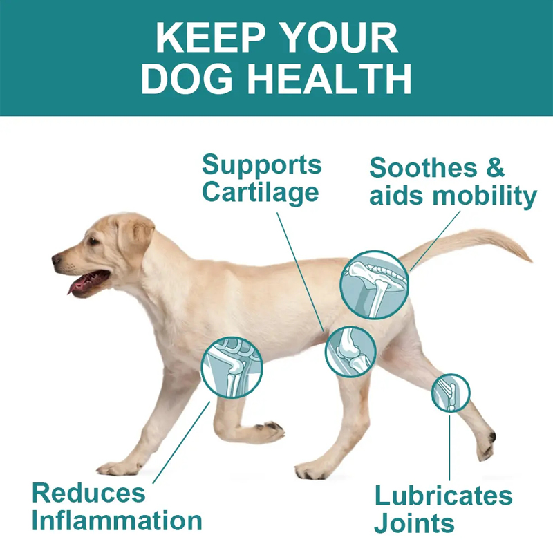 Dog Hip & Joint Supplement